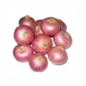 Onion (प्याज)