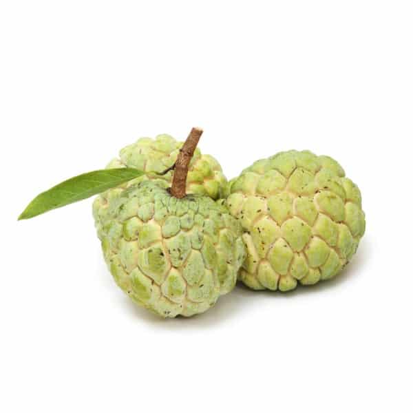 Custard Apple (सीताफल)